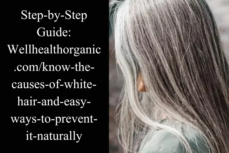 step-by-step guide on wellhealthorganic.comknow-the-causes-of-white-hair-and-easy-ways-to-prevent-it-naturally