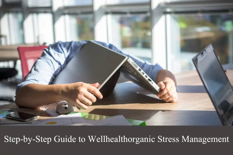 step by step guide to wellhealthorganic stress management