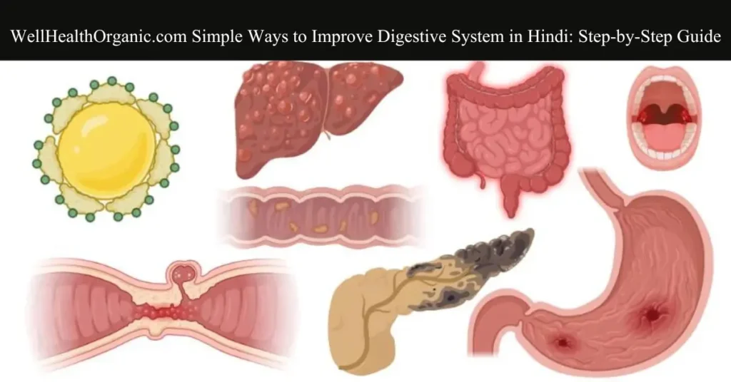 wellhealthorganic.com simple ways to improve digestive system in hindi step-by-step guide