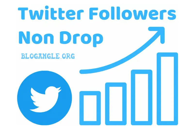 what is twitter followers and why its important