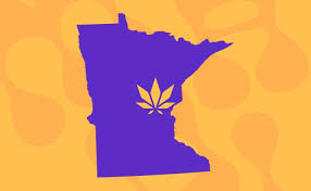 7 Cannabis Business SOPs Every Minnesota Dispensary Must Have Before Opening Day