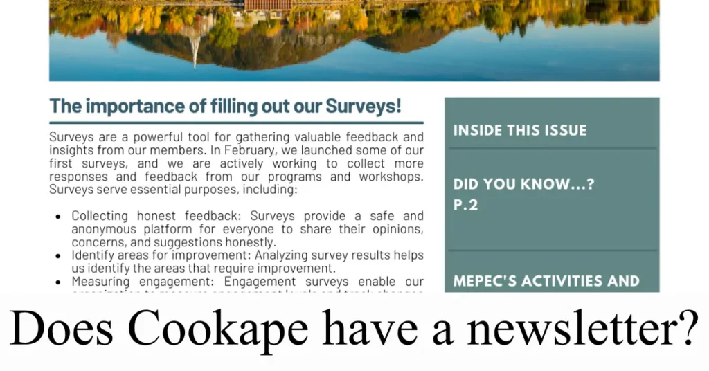 Does Cookape have a newsletter?