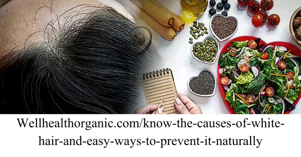 wellhealthorganic.comknow-the-causes-of-white-hair-and-easy-ways-to-prevent-it-naturally